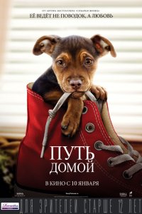 Путь домой (2019) смотреть онлайн