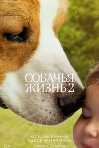 Собачья жизнь 2 (2019) смотреть онлайн