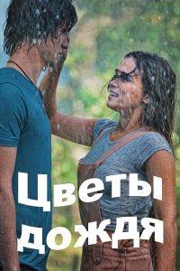 Цветы дождя 1-8 серия смотреть онлайн (сериал 2017)