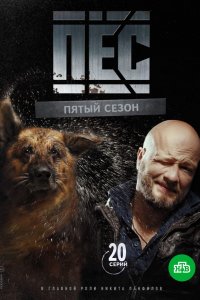 Пёс 5 сезон 1-20 серия смотреть онлайн (сериал 2019)