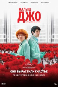 Малыш Джо (2019) смотреть онлайн