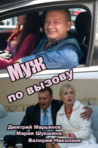 Муж по вызову (2015) смотреть онлайн