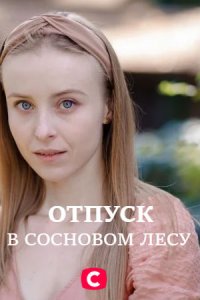 Отпуск в сосновом лесу 1, 2, 3, 4 серия смотреть онлайн (сериал 2020)