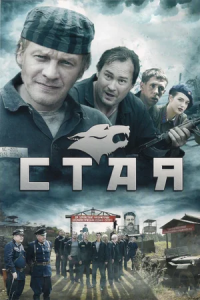 Стая 1-8 серия смотреть онлайн (сериал 2009)