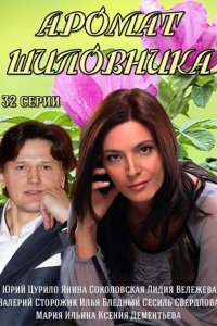 Аромат шиповника 1-32 серия смотреть онлайн (сериал 2014)