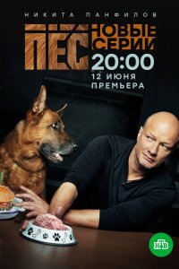 Пёс 7 сезон 1-20 серия смотреть онлайн (сериал 2021)