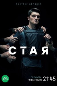 Стая 1-20 серия смотреть онлайн (сериал 2022 НТВ)