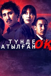 Выстрел ночью / Түнде атылған оқ 1-16 серия смотреть онлайн (казахстанский сериал 2023)